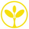 yellowtree.com.kh logo