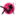 yesdownloader.com icon