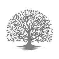 yingspanh.com icon