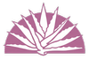 yl-bet.com icon