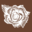 yorkshiretelegraph.co.uk icon
