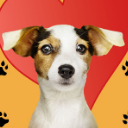 yougotthepower.org icon