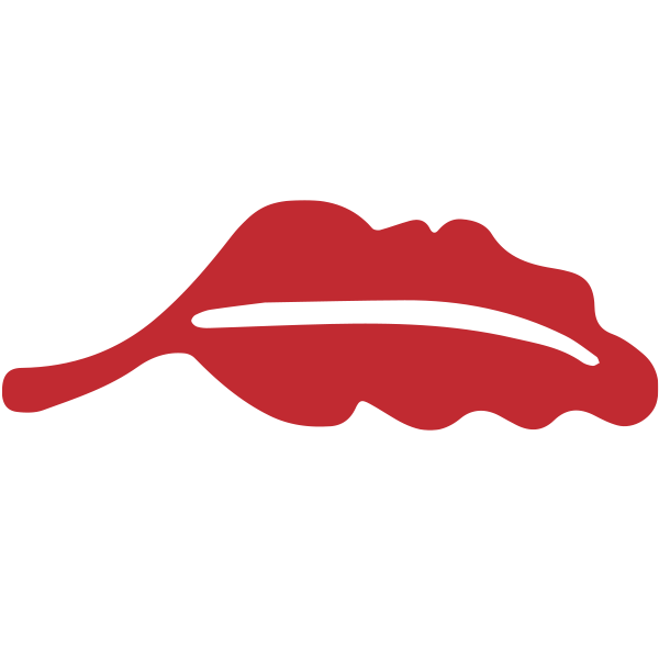 youngmanufacturing.com icon