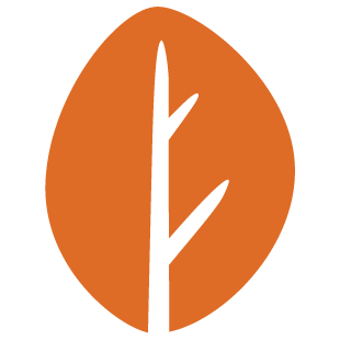 yourabortionexperience.org icon