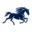 yourpacesetter.com icon