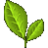 youspacko.com icon