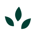 youtric24.com icon