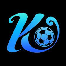 youyimo.com icon
