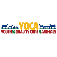 yqcaprogram.org icon