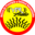yraudio.com icon