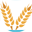 yukios-teriyaki.com icon