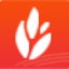 yzspk.com icon