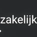 zakelijkepartner.be icon