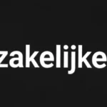 zakelijkevergroting.be icon