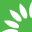 zankerrecycling.com icon