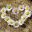 zartbesaitet.net icon