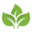 zazieleniacze.pl icon