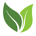 zdrowezielonki.pl icon