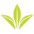 zealong.com icon