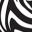 zebraband.com icon