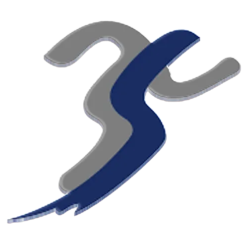 zebramodernariato.com icon