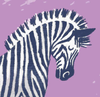zebrasunite.coop icon