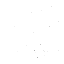 zees.dev icon