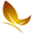 zeesy.pk icon