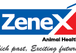 zenexah.com icon