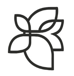 zerum.store icon