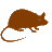zgp.org icon