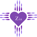 ziadigitalmediadesigns.com icon