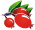 zielarniawarminska.pl icon