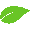 zielonaesencja.pl icon