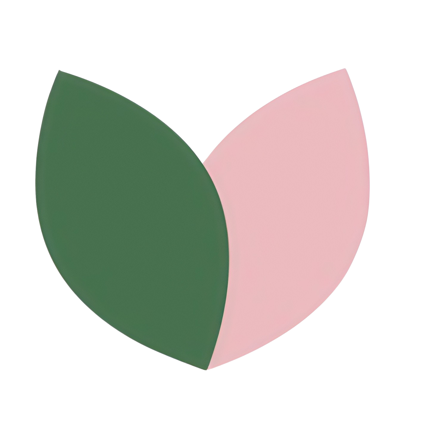 zielonapara.pl icon