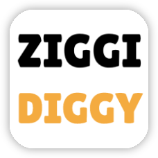 ziggidiggy.com icon