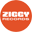 ziggyrecords.com icon