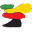 zimlii.org icon