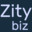 zity.biz icon