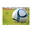zjymhs.com icon