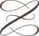zoefeldmandesign.com logo