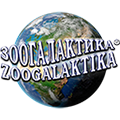 zoogalaktika.ru icon