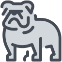 zoopornstream.com icon