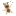 zoosextaboo.com icon