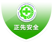 zxsafety.com icon